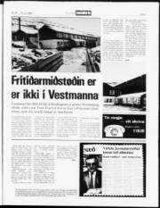 Síða 3
