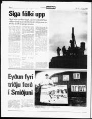 Síða 6