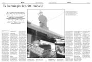 Síða 15