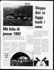 Síða 3