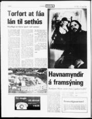 Síða 6