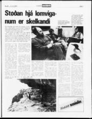 Síða 7