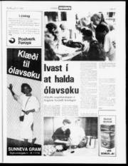 Síða 15