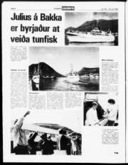 Síða 6