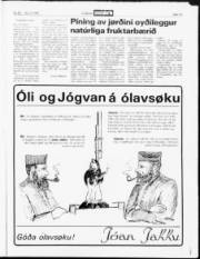 Síða 13