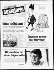 Síða 1