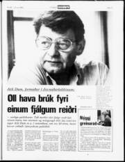 Síða 11
