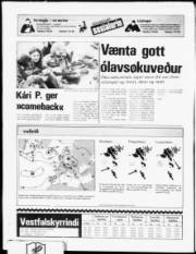 Síða 24