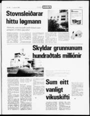 Síða 3