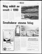 Síða 9