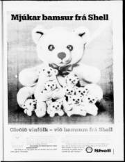 Síða 17