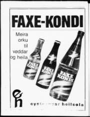 Síða 22