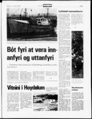 Síða 5