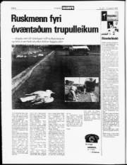 Síða 6