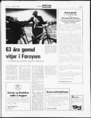 Síða 7