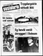 Síða 1