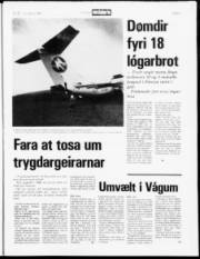 Síða 5