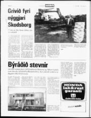 Síða 6