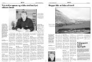 Síða 5
