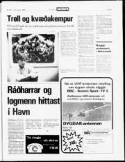 Síða 3
