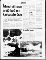 Síða 3