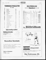 Síða 15