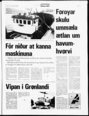 Síða 5