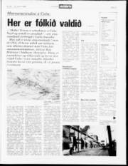 Síða 13
