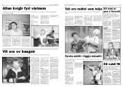 Síða 17