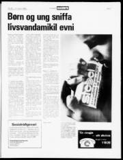 Síða 7