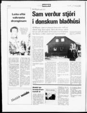Síða 8