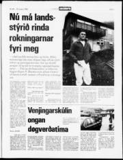 Síða 3