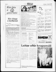 Síða 20