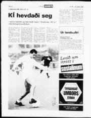 Síða 12
