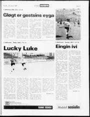 Síða 15