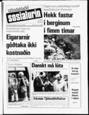 Síða 1