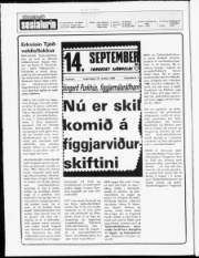 Síða 2