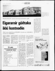 Síða 5