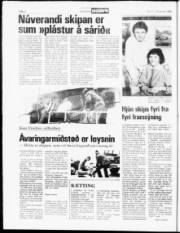 Síða 6