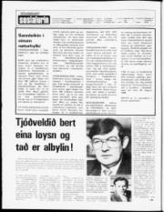 Síða 2
