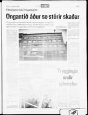 Síða 5