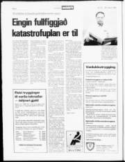 Síða 6