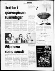 Síða 4