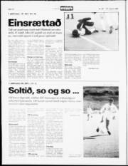Síða 17