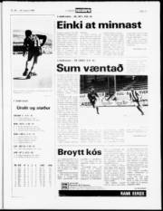 Síða 18