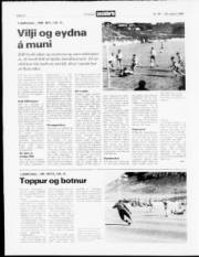 Síða 19