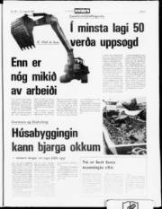 Síða 5