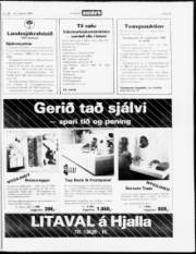 Síða 15