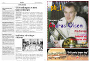 Síða 8
