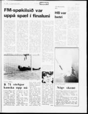 Síða 19